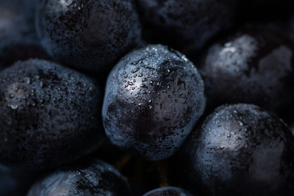 Close-up view of fresh, dark grapes with water droplets, creating a glossy texture. The image conveys freshness and ripeness, emphasizing rich colors.