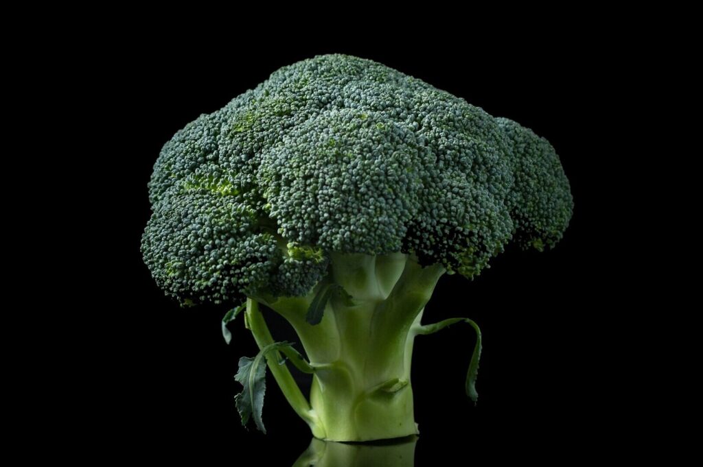 A fresh, vibrant green head of broccoli against a black background. The detailed texture of the florets and sturdy stalk is highlighted, conveying freshness.