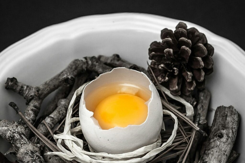 A single egg resting in a nest made of twigs and pine cones, captured in fine art food photography.