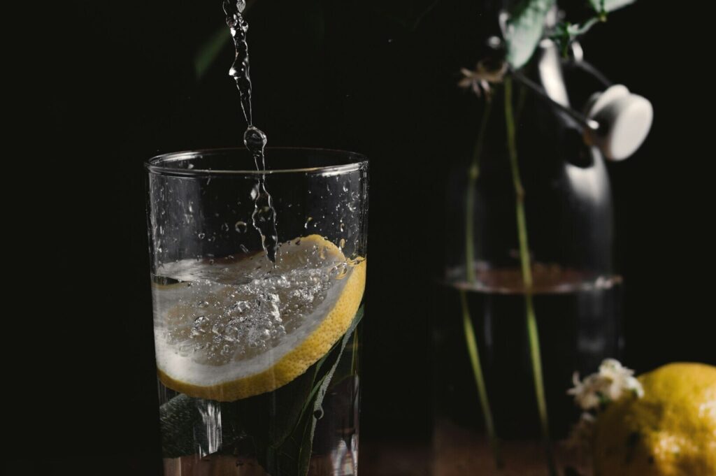 Fine art food photography featuring a glass of water with lemon and a vibrant flower beside it.