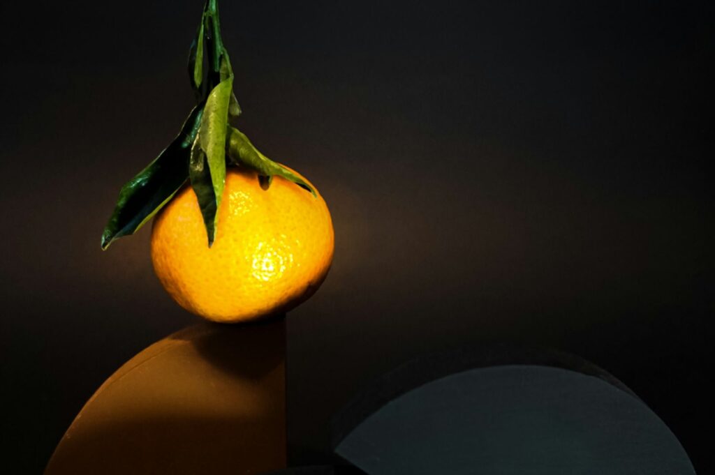 A vibrant orange with glossy green leaves is placed atop geometric shapes against a dark background, creating a dramatic, artistic contrast.