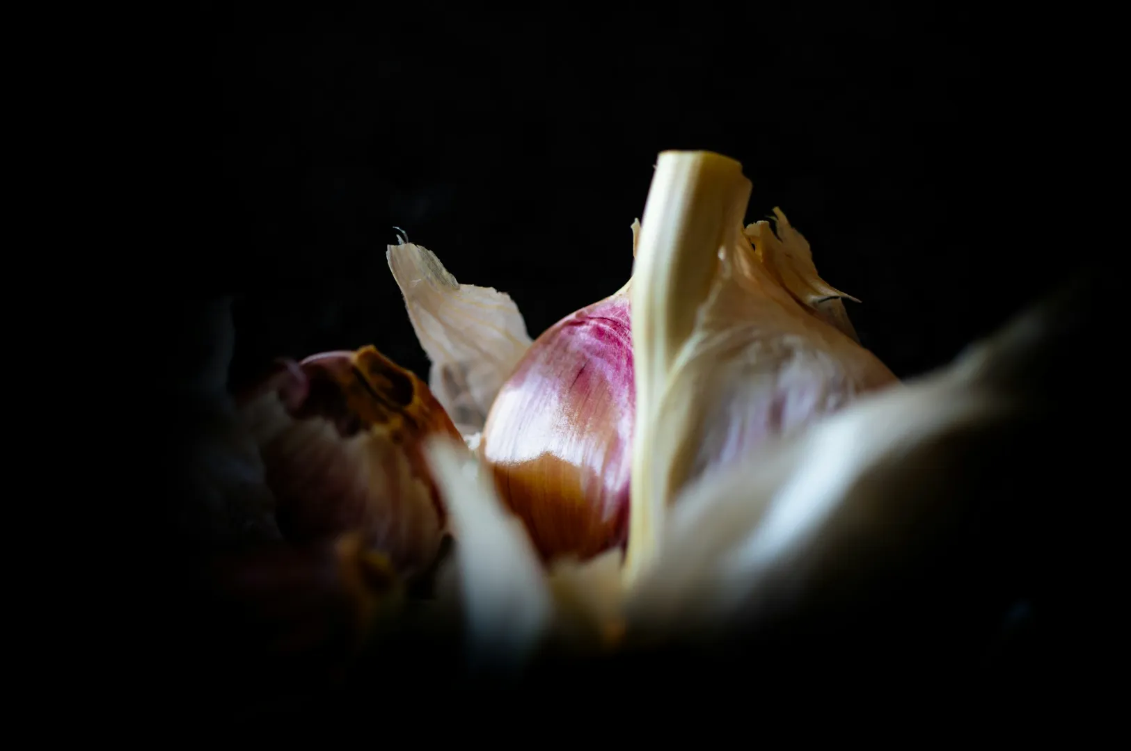 “Close-up of a garlic bulb with purple streaks against a dark background, partially surrounded by papery white skin, creating a dramatic, moody effect.”