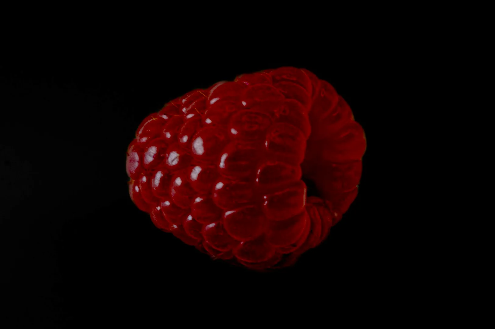 A single ripe raspberry, glistening with moisture, is centered against a dark black background, highlighting its rich red color and detailed texture.