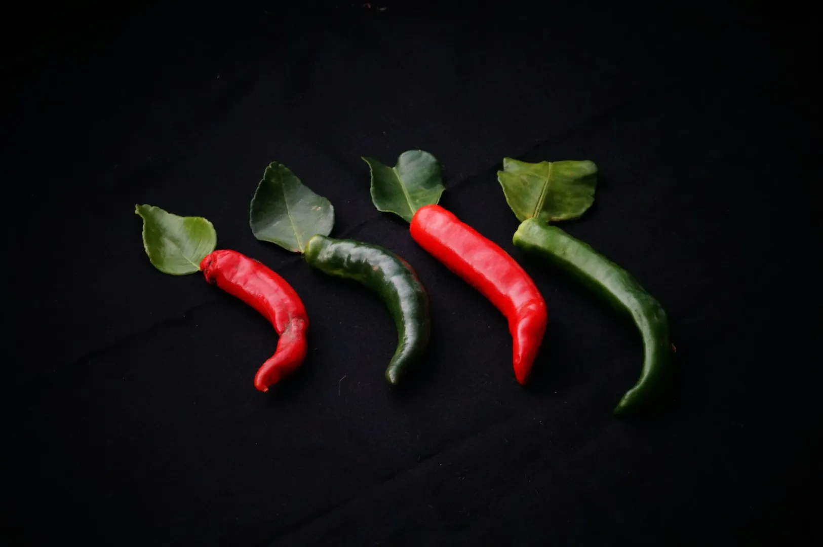 “Four chili peppers, two red and two green, are arranged alternately on a black background. Each pepper has a leafy stem, creating a fresh look.”