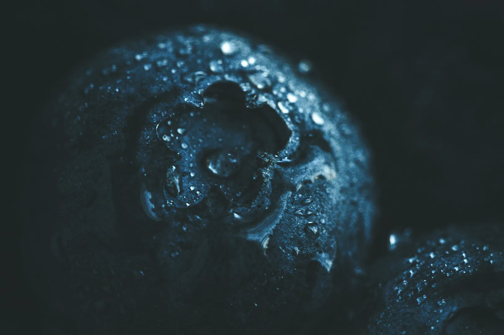 “Close-up of a blueberry with dewdrops, creating a fresh appearance. The dark, moody lighting highlights texture and detail of the berry's surface.”