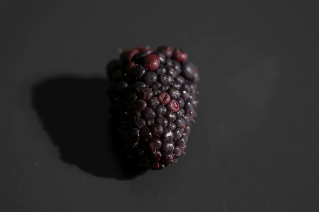 Close-up of a single blackberry on a dark surface. The berry is illuminated, showcasing its deep purple-black color and textured surface.