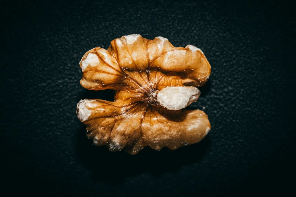 “Close-up of a walnut half on a dark textured background. The walnut's intricate, ridged surface contrasts with the smooth backdrop, emphasizing its detail.”