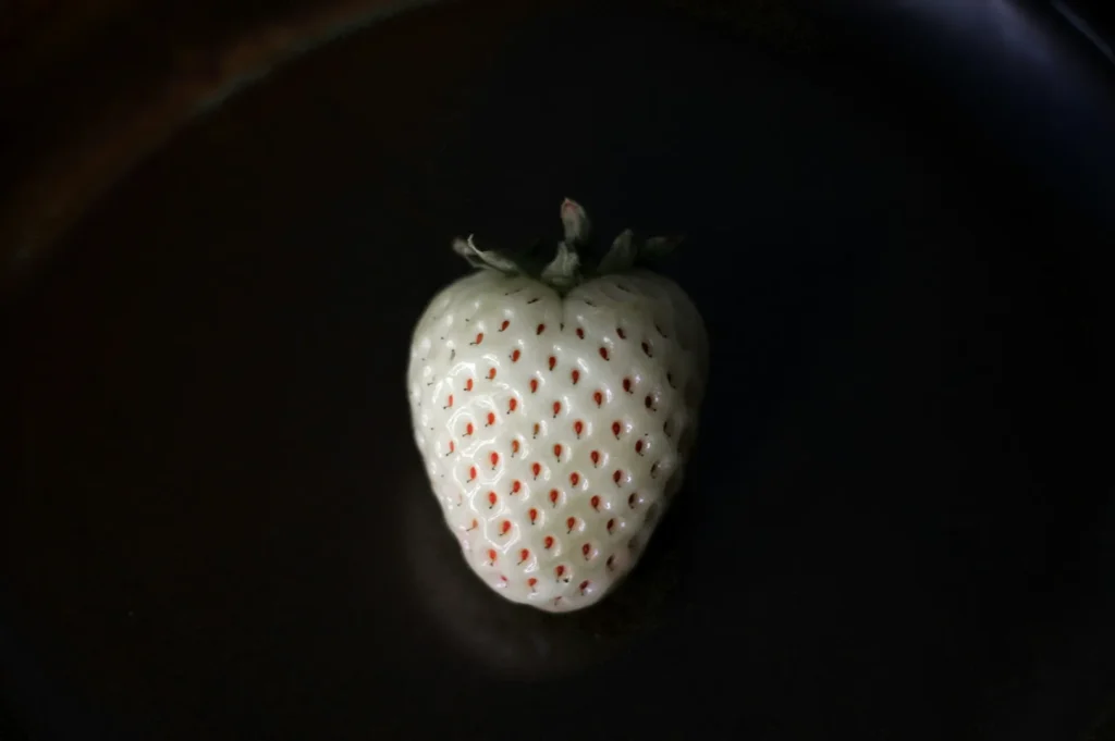 “A white strawberry with tiny red seeds sits on a dark surface, highlighting its unique color and texture against the contrasting background.”