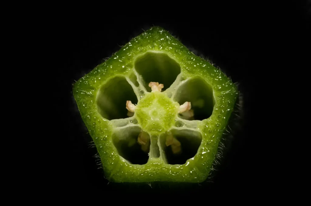 Close-up of a cut okra revealing a star-shaped pattern. The vibrant green color contrasts with the dark background, highlighting its texture and seeds.