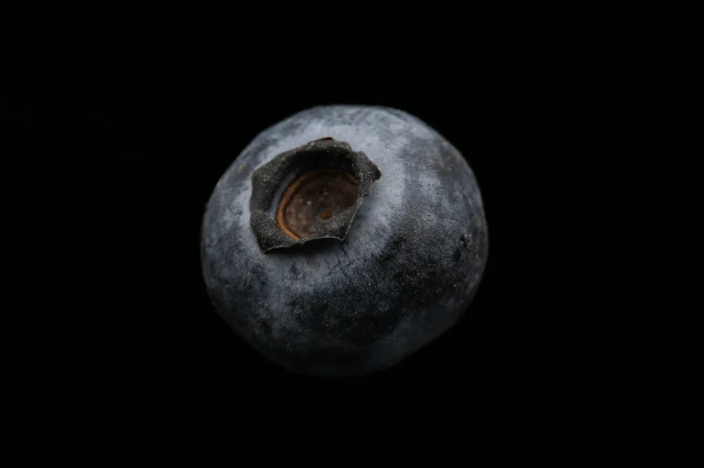 Close-up of a single blueberry against a black background. The texture and deep blue color of the berry are highlighted, conveying freshness.