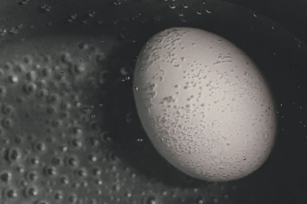 Close-up of a white egg submerged in water with bubbles clinging to its surface. The grayscale tone creates a calm and textured atmosphere.