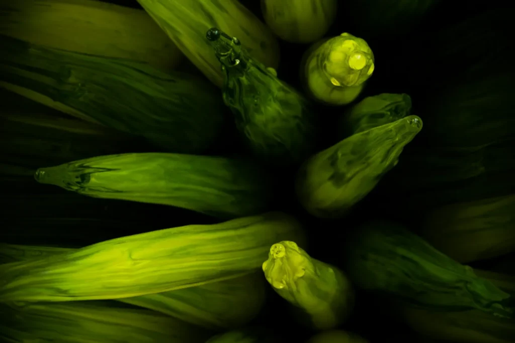 A close-up of several green zucchini arranged vertically, highlighting their textured, glossy surfaces. The image has a dark, moody tone with dramatic lighting.