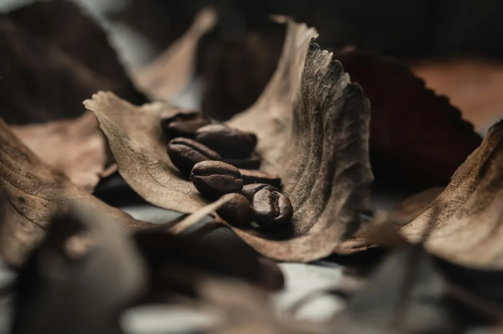 Coffee beans resting on dry autumn leaves, creating a rustic and cozy atmosphere. The focus on textures conveys warmth and earthiness.