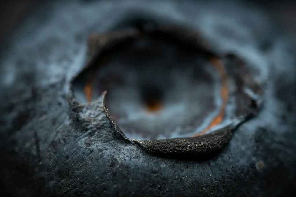 Close-up of a blueberry's surface, showing its textured, deep-blue skin and a sunken center. The image conveys a sense of organic detail.