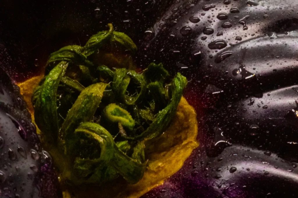 Close-up of a fresh eggplant, showcasing the textured purple skin with water droplets and vibrant green leaves, conveying freshness and vitality.