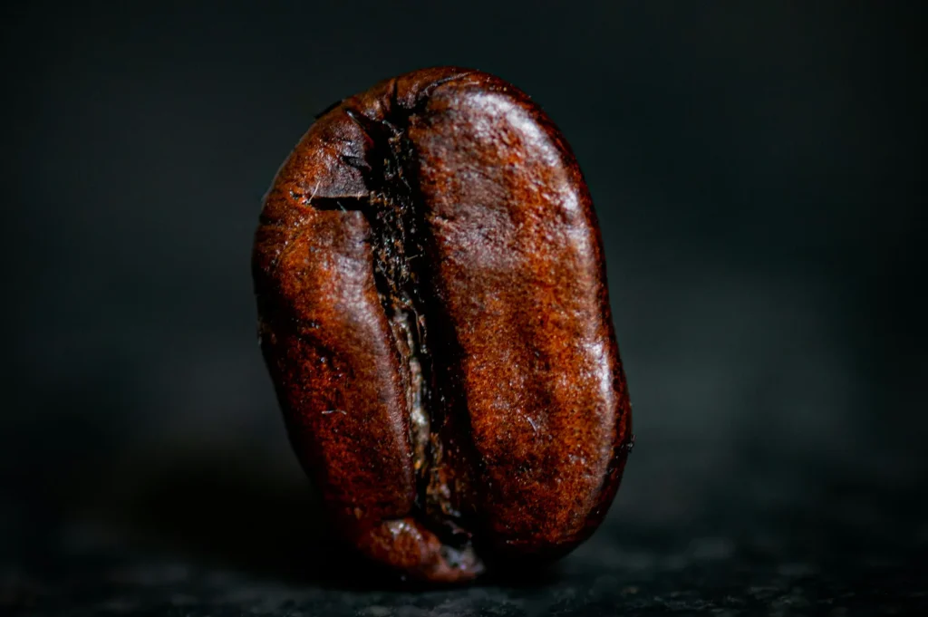 Close-up of a single shiny brown coffee bean, centered against a dark, blurred background. The texture highlights its smooth, oily surface.