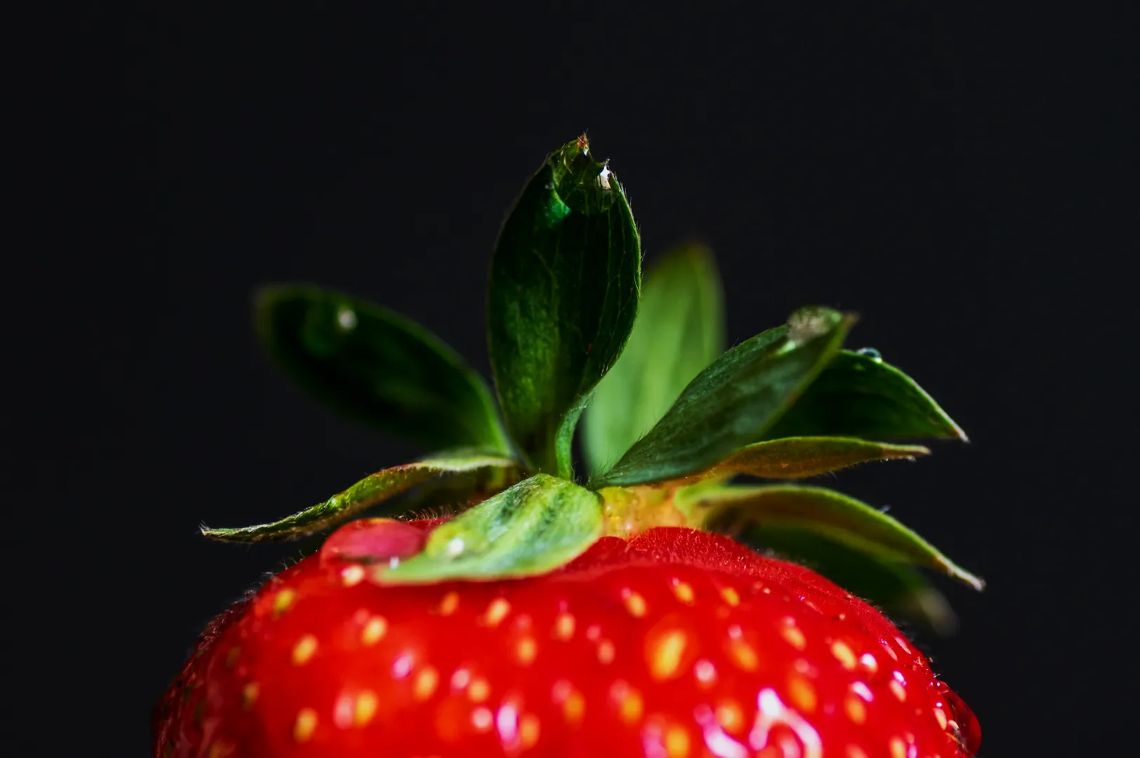 “Close-up of a ripe, red strawberry with bright green leaves against a dark background. The surface is shiny, showcasing small seeds.”