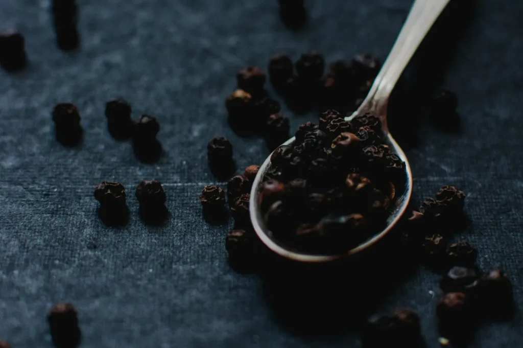 “Silver spoon with black peppercorns on dark, textured surface. Scattered peppercorns surround the spoon, creating a rustic, moody atmosphere.”