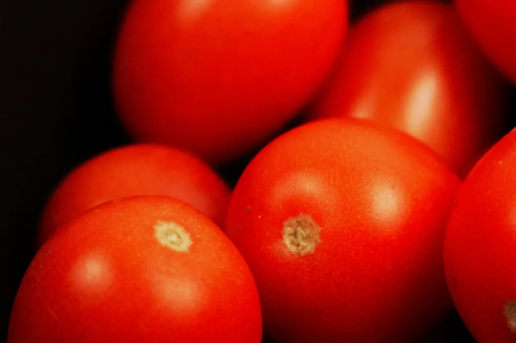 “Close-up of ripe, glossy red tomatoes with small imperfections, creating a fresh and vibrant texture against a dark background.”
