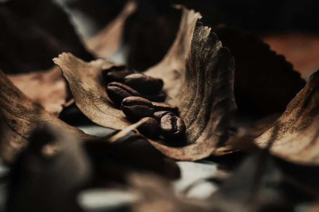 “Coffee beans resting on dry, curled autumn leaves. The scene conveys a rustic, warm tone with earthy textures and natural elements.”