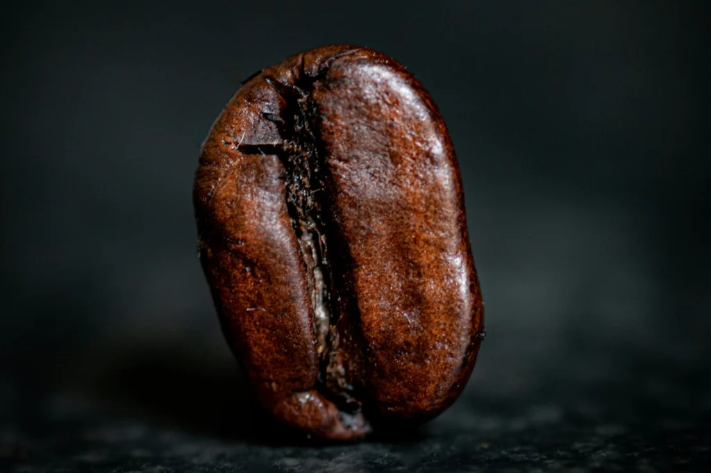 “Close-up of a single roasted coffee bean on a dark background, showcasing its rich brown color, textured surface, and central split.”