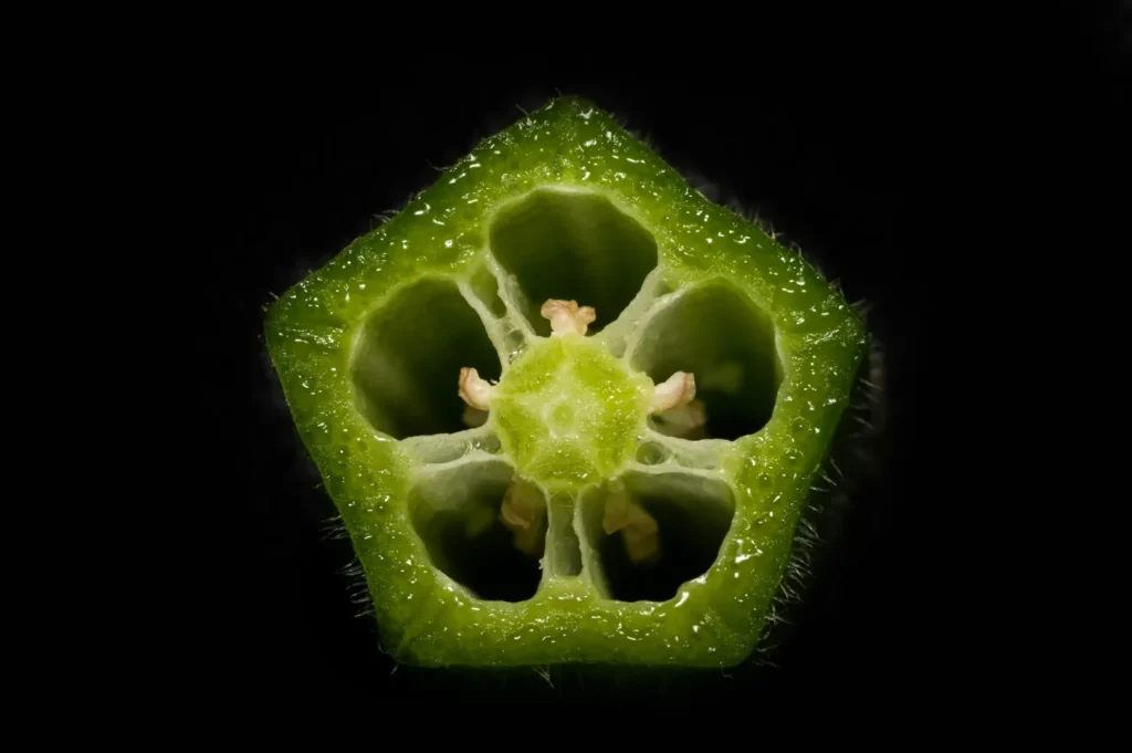 “Close-up of an okra cross-section against a black background. The fresh green interior displays a star shape with small seeds and a glossy texture.”