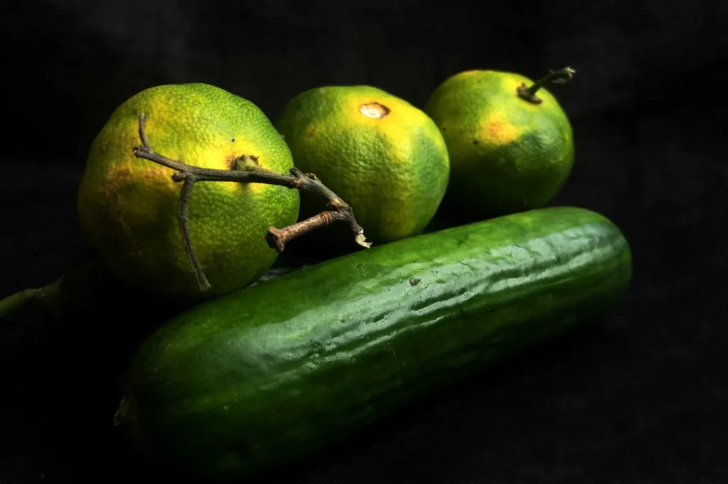 “A cucumber lies close to three bright green oranges with a yellow tint and twigs, set against a dark background, conveying a natural and fresh tone.”