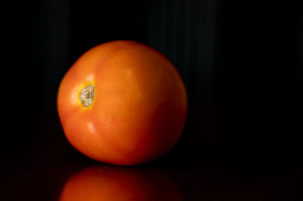 “A single ripe tomato with a smooth, red surface sits on a reflective dark surface, set against a black background. The scene conveys simplicity and focus.”