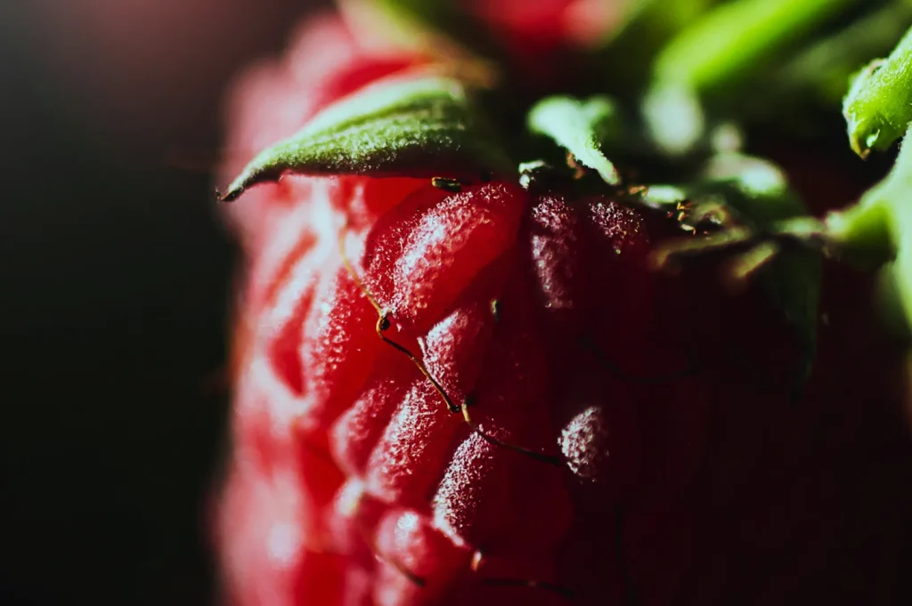 “Close-up of a ripe, red raspberry with detailed texture and dewdrops on its surface, surrounded by vibrant green leaves, conveying freshness.”