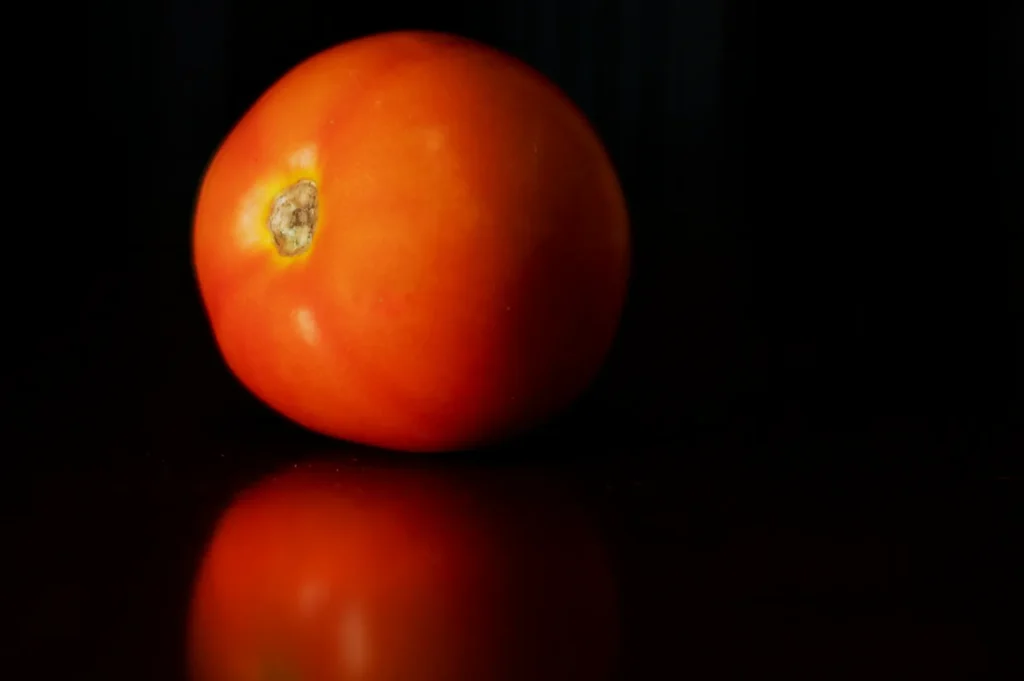 “A ripe, red tomato with soft lighting sits on a reflective dark brown surface against a black background, casting a gentle shadow and serene tone.”