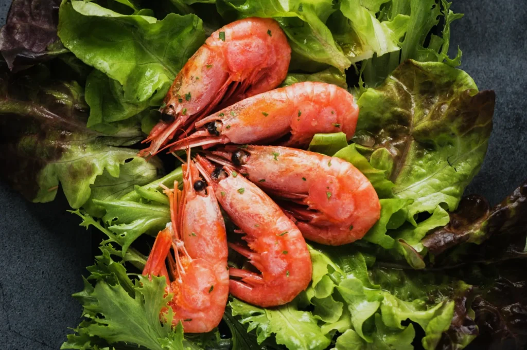 Cooked shrimp arranged on a bed of fresh leafy greens. The bright pink shrimp contrast with the dark and light green leaves, creating a fresh and appetizing look.