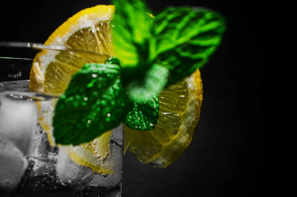 “Close-up of a refreshing drink with ice cubes, lemon slice, and vibrant mint leaves. The background is dark, highlighting the fresh ingredients.”