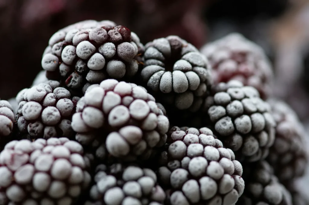 “Close-up of frozen blackberries, covered in icy frost. The berries' surfaces are textured with frost, creating a chilly, fresh appearance.”