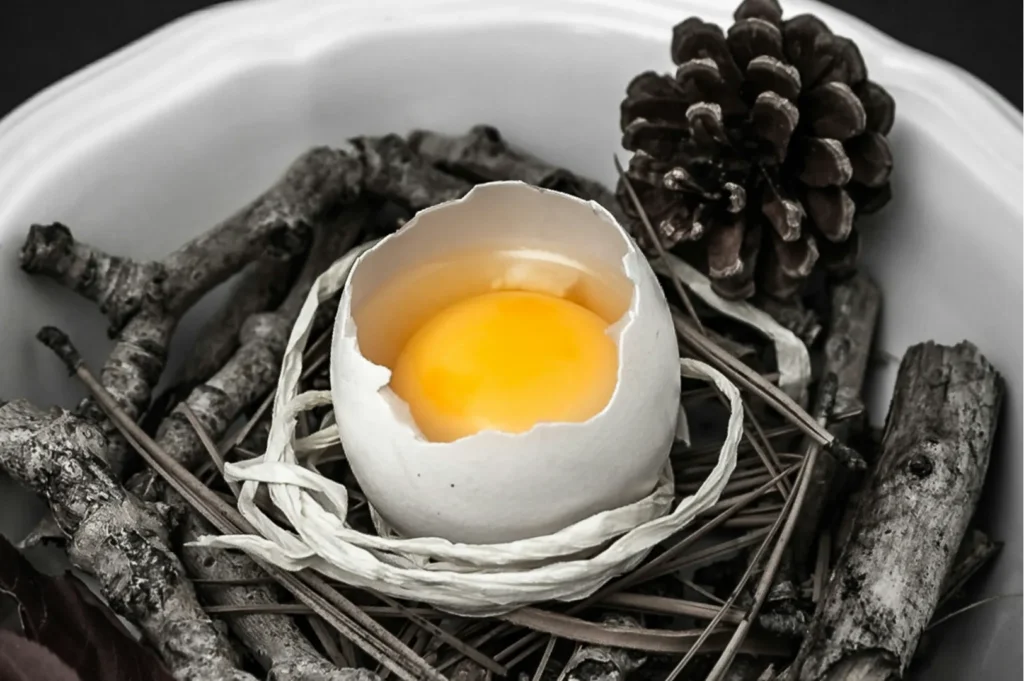 “A white egg with a visible yolk sits in a cracked shell, nestled among dry twigs and a pinecone on a plate. The arrangement is natural and artistic.”