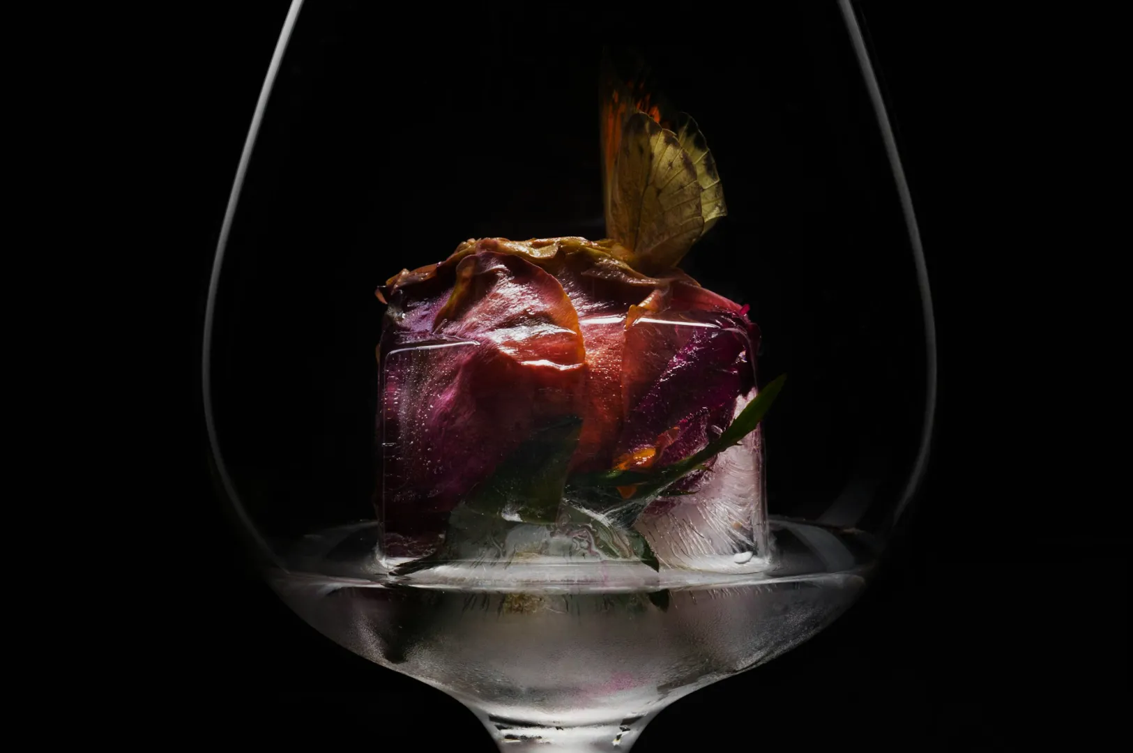 A butterfly perched on a colorful flower encased in an ice cube, set elegantly inside a wine glass against a dark background.