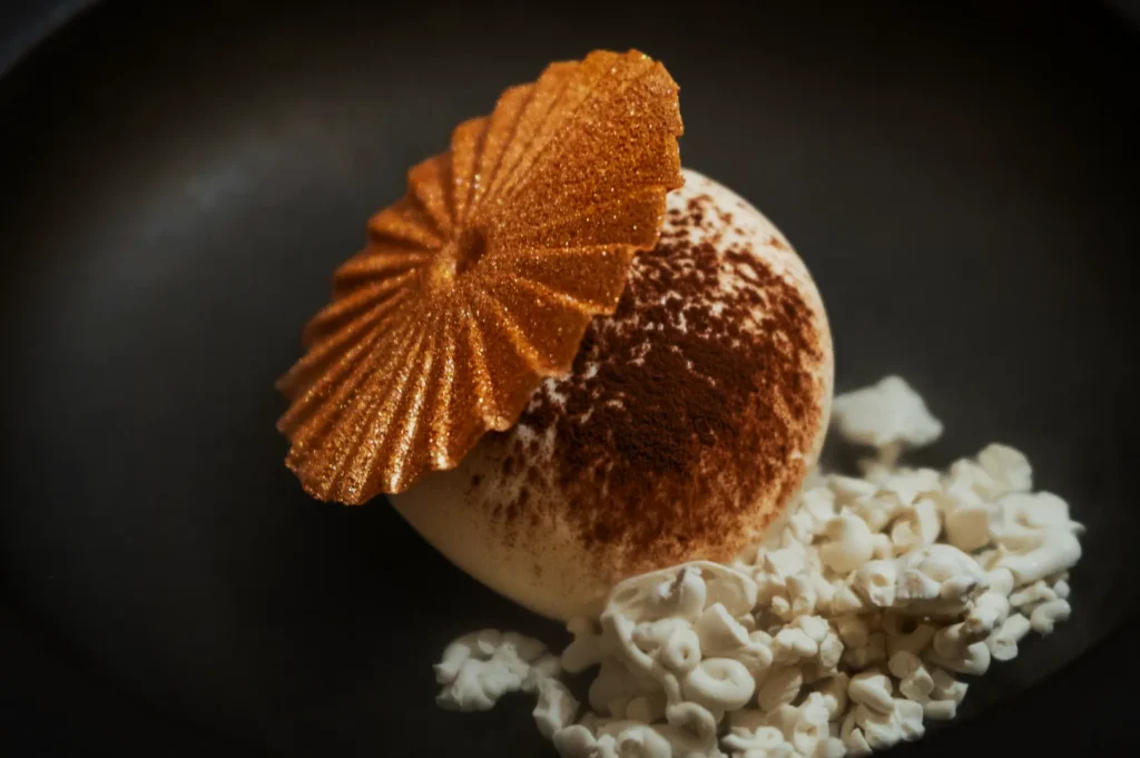 Elegant dessert on a dark plate with a creamy dome dusted with cocoa, topped by a textured, golden wafer. Surrounded by small white popcorn pieces.