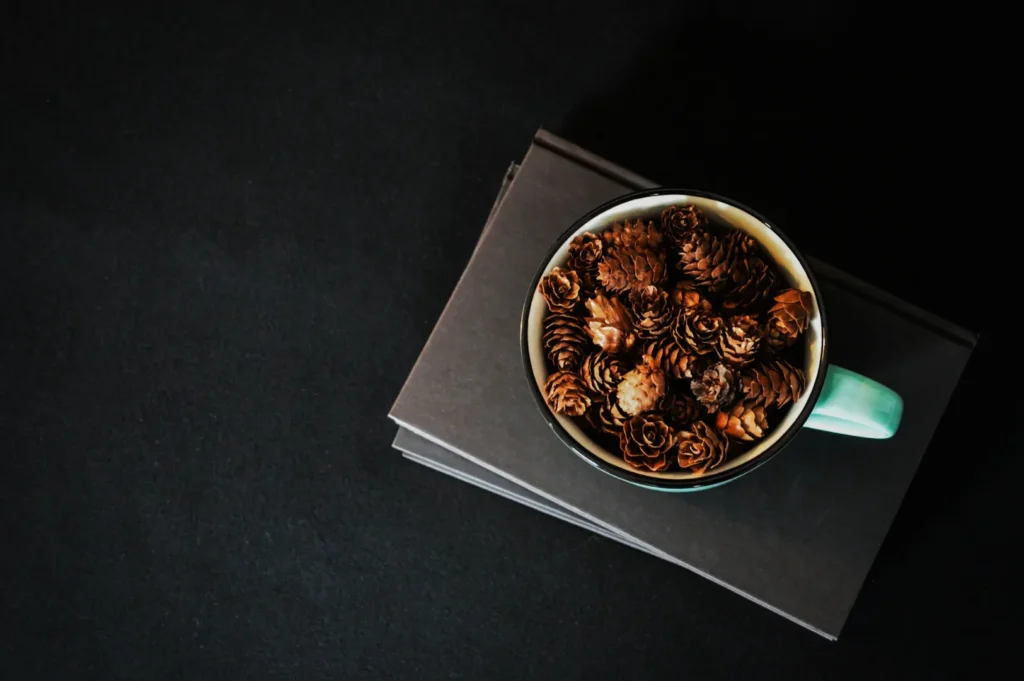 A teal mug filled with small pine cones rests on two closed, dark books against a black background, creating a minimalist and cozy scene.