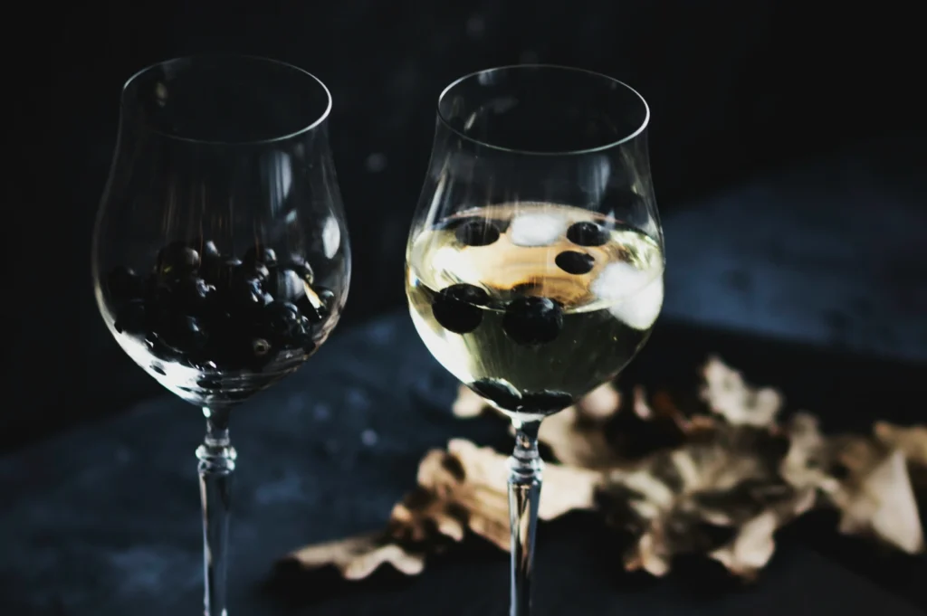 Two wine glasses filled with blueberries; one with clear liquid and ice, the other empty. Set on a dark surface with dried leaves nearby, creating a moody, elegant ambiance.