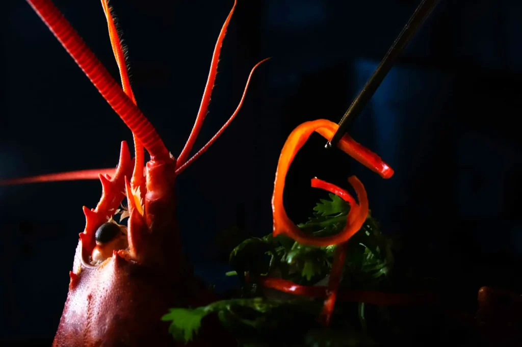 Close-up of a lobster head with long red antennae, surrounded by vibrant garnish. A chopstick holds a curly red vegetable slice, creating a dramatic, elegant mood.