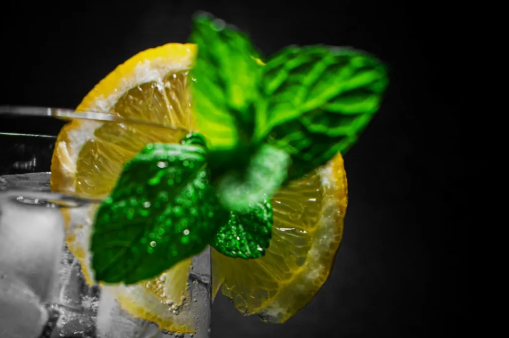 A refreshing drink with ice cubes and a lemon slice, garnished with vibrant mint leaves. The dark background enhances the colors, evoking a fresh, cool vibe.