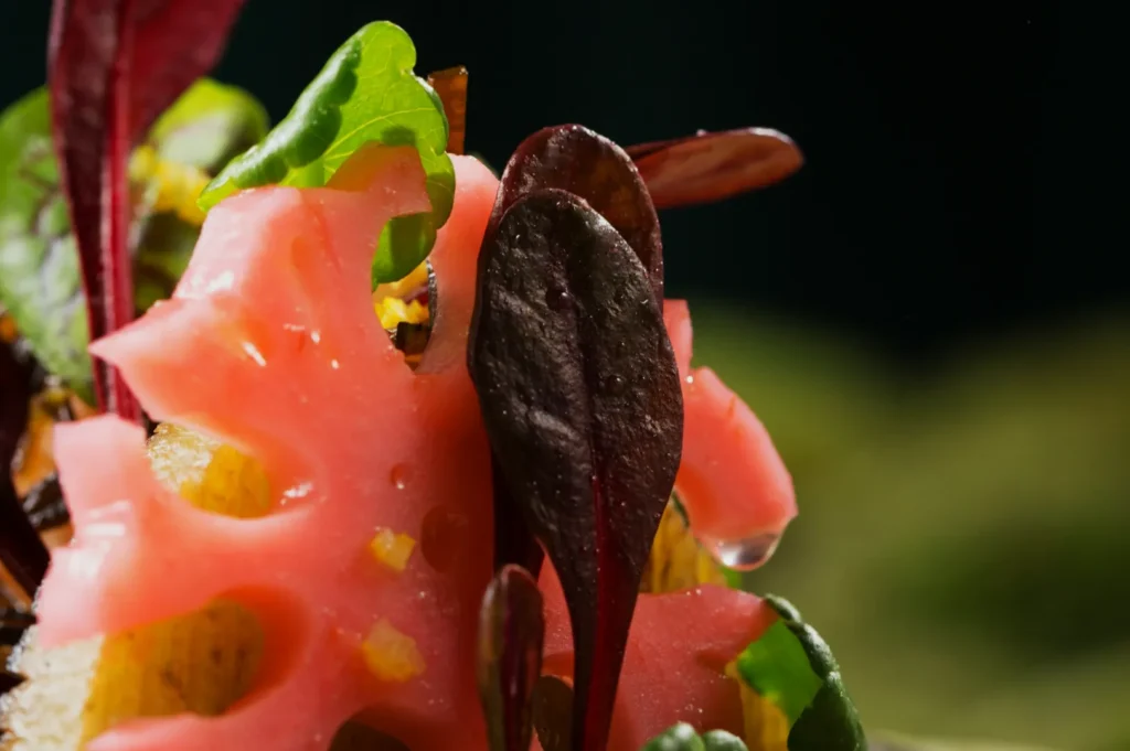 Close-up of a fresh salad featuring red and green leaves with a pink lotus root slice, droplets of water glistening. The mood is fresh and vibrant.