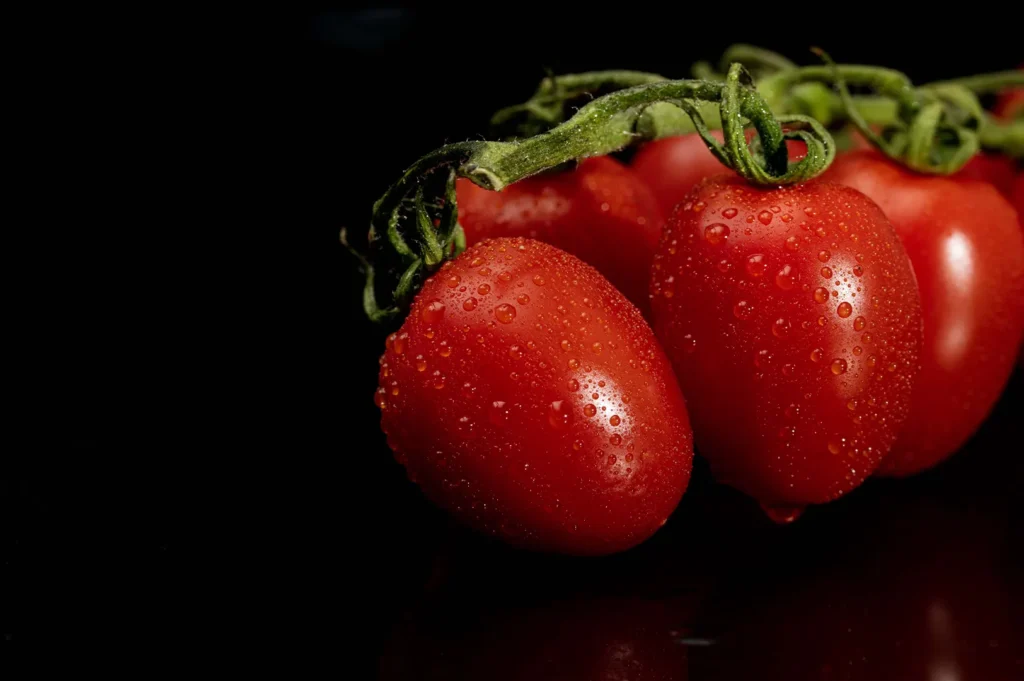 Fresh cluster of cherry tomatoes with controlled water droplets on a dark black background for food photography.