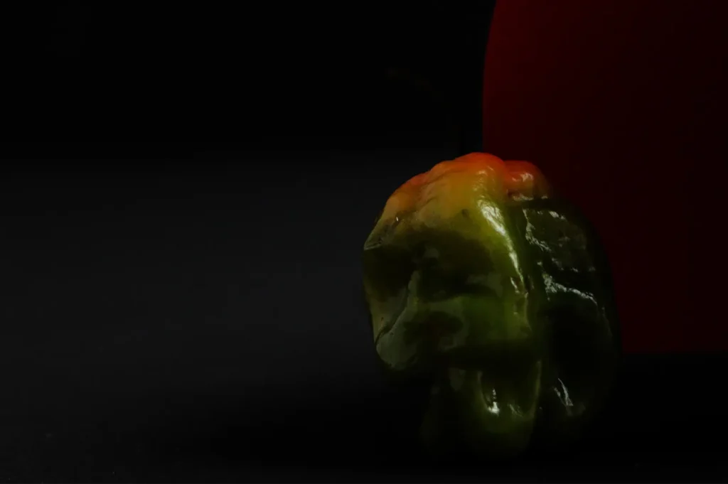 A close-up shot of a single ripening habanero pepper transitioning from green to orange against a dark background.