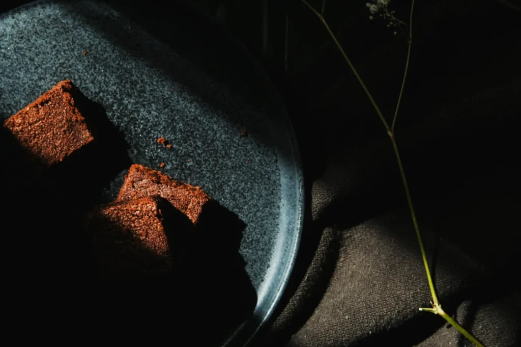 Two chocolate brownies on a dark textured plate, partially in shadow, with a delicate stem on a dark fabric, creating a moody, rustic atmosphere.
