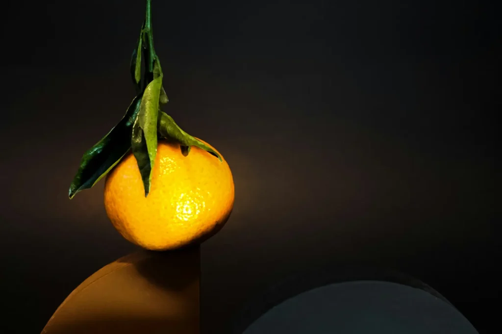 Dark moody food photography of a fresh orange with green leaves on a dark background.