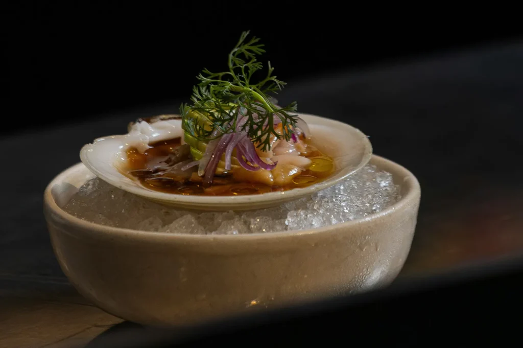 Professional food photography of a fresh seafood dish served on ice with dark moody styling.