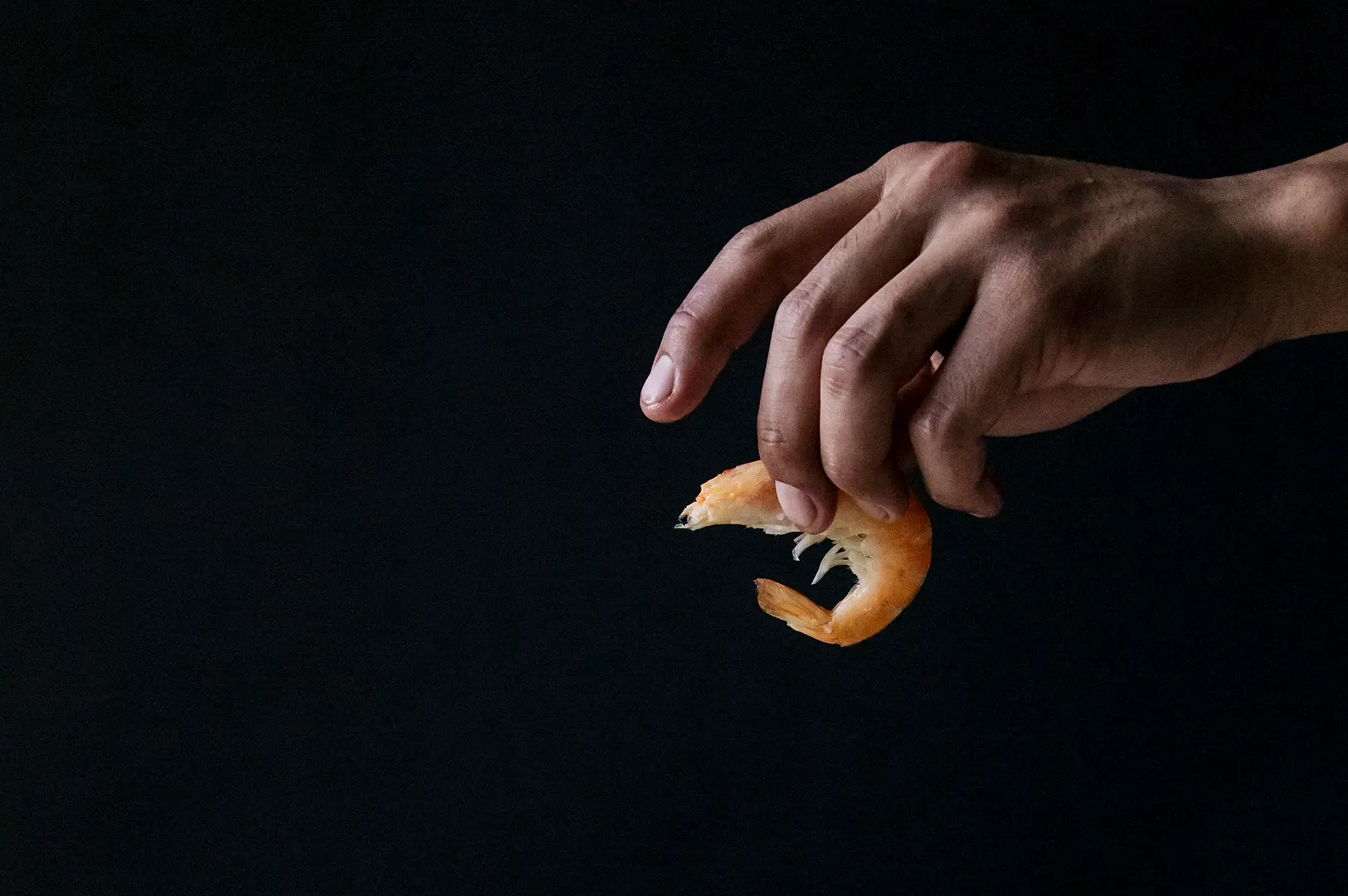 Dark moody food photography of a hand holding a fresh prawn against a black background.